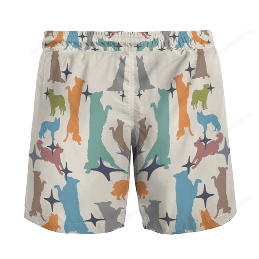 border collie colorfull beach hawaiian short Dog