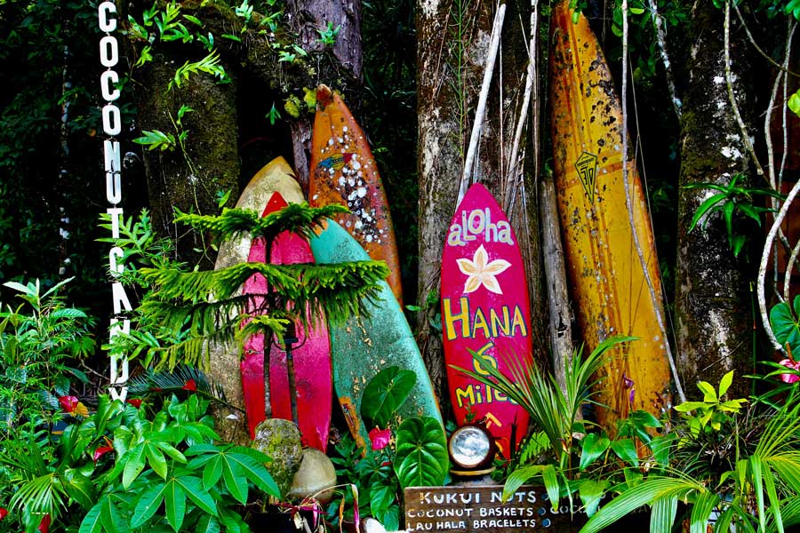 hawaiian shirt Colorpop Wear